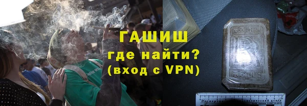 индика Абаза