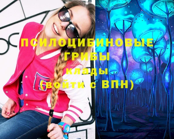 индика Абаза