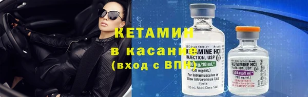 индика Абаза