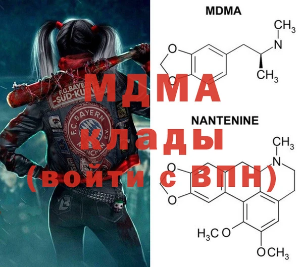индика Абаза
