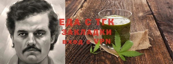 индика Абаза