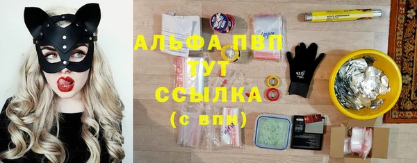 прущие грибы Абдулино